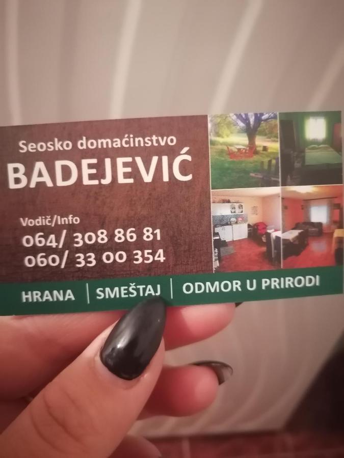 Villa Etno Kuca Badejevic Plavna Exterior foto