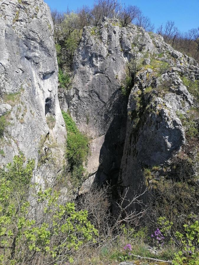 Villa Etno Kuca Badejevic Plavna Exterior foto